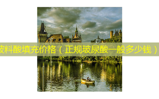 玻料酸填充价格（正规玻尿酸一般多少钱）