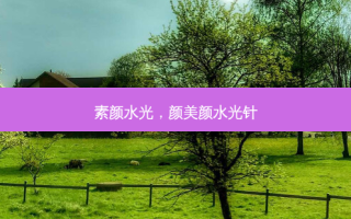 素颜水光，颜美颜水光针