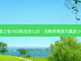 皮肤上有小白斑点怎么治（去除黄褐斑大概多少钱）