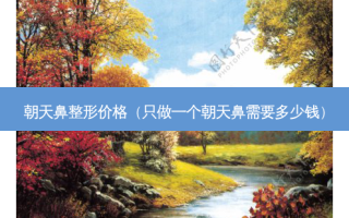 朝天鼻整形价格（只做一个朝天鼻需要多少钱）