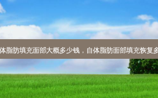自体脂肪填充面部大概多少钱，自体脂肪面部填充恢复多久