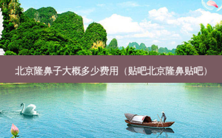 北京隆鼻子大概多少费用（贴吧北京隆鼻贴吧）