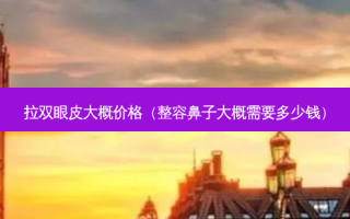 拉双眼皮大概价格（整容鼻子大概需要多少钱）