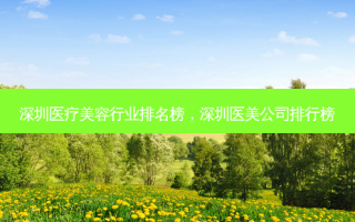 深圳医疗美容行业排名榜，深圳医美公司排行榜