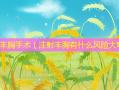 注射丰胸手术（注射丰胸有什么风险大吗）