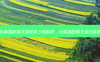 自体脂肪填充面部多少钱贴吧，自体脂肪填充成功案例