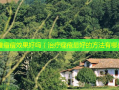 中医看痘痘效果好吗（痤疮好的 *** 有哪些）
