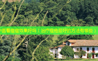 中医看痘痘效果好吗（痤疮好的 *** 有哪些）