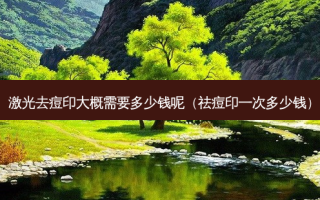 激光去痘印大概需要多少钱呢（祛痘印一次多少钱）