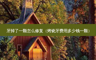 牙掉了一颗怎么修复（烤瓷牙费用多少钱一颗）