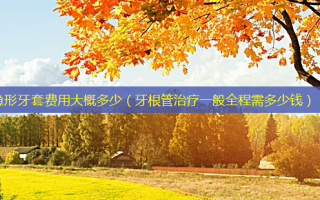 隐形牙套费用大概多少（牙根管一般全程需多少钱）