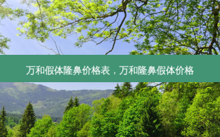 万和假体隆鼻价格表，万和隆鼻假体价格