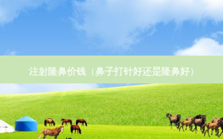 注射隆鼻价钱（鼻子打针好还是隆鼻好）