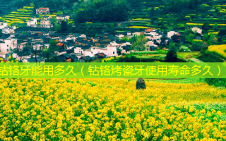 钴铬牙能用多久（钴铬烤瓷牙使用寿命多久）
