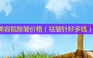 美容院除皱价格（祛皱针好多钱）