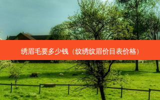 绣眉毛要多少钱（纹绣纹眉价目表价格）