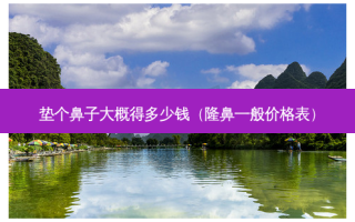 垫个鼻子大概得多少钱（隆鼻一般价格表）