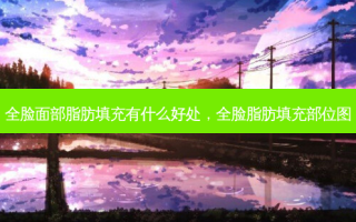 全脸面部脂肪填充有什么好处，全脸脂肪填充部位图