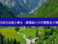 自然办法缩小鼻头（鼻翼缩小大约需要多少钱）