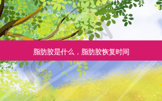 脂肪胶是什么，脂肪胶恢复时间