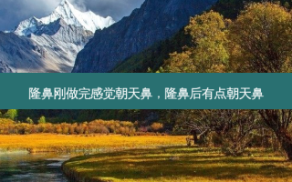 隆鼻刚做完感觉朝天鼻，隆鼻后有点朝天鼻