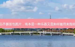 盼盼食品手撕面包图片，南本是一种乐器又是如何被用来指南方的呢