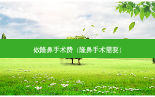 做隆鼻手术费（隆鼻手术需要）
