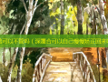 深覆盖可以不管吗（深覆合可以自己慢慢矫正回来吗）