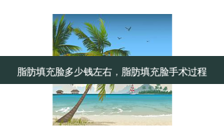 脂肪填充脸多少钱左右，脂肪填充脸手术过程