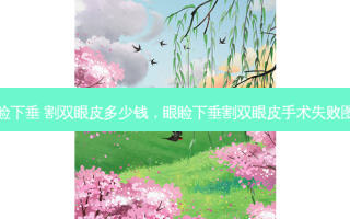 眼睑下垂 割双眼皮多少钱，眼睑下垂割双眼皮手术失败图片