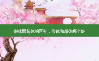 假体跟超体的区别，假体和超体哪个好