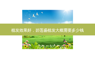 植发效果好，碧莲盛植发大概需要多少钱