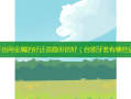 矫正牙齿用金属的好还是隐形的好（自锁牙套有哪些品牌）