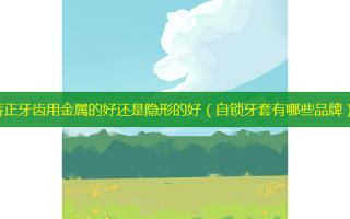 矫正牙齿用金属的好还是隐形的好（自锁牙套有哪些品牌）