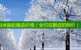 自体脂肪隆鼻价格（全切双眼皮的报价）