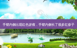 手臂内侧出现红色淤痕，手臂内侧长了很多红疹子