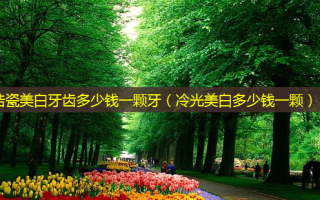 浩瓷美白牙齿多少钱一颗牙（冷光美白多少钱一颗）