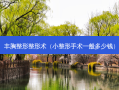 丰胸整形整形术（小整形手术一般多少钱）