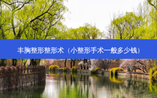丰胸整形整形术（小整形手术一般多少钱）