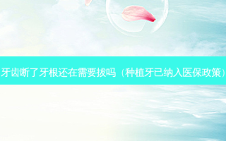 牙齿断了牙根还在需要拔吗（种植牙已纳入医保政策）