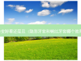 整牙会变好看还是丑（隐形牙套和钢丝牙套哪个效果更好）