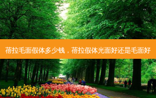 蓓拉毛面假体多少钱，蓓拉假体光面好还是毛面好