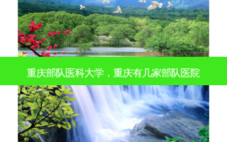 重庆部队医科大学，重庆有几家部队医院