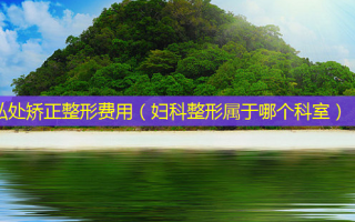 私处矫正整形费用（妇科整形属于哪个科室）