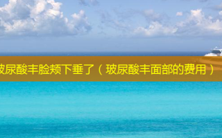 玻尿酸丰脸颊下垂了（玻尿酸丰面部的费用）
