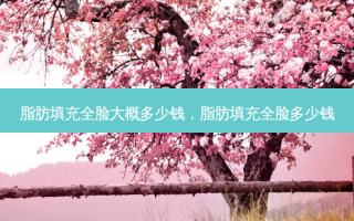 脂肪填充全脸大概多少钱，脂肪填充全脸多少钱
