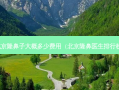 北京隆鼻子大概多少费用（北京隆鼻医生排行榜）