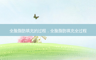 全脸脂肪填充的过程，全脸脂肪填充全过程