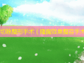  *** 切除整形手术（隆胸效果整容手术）