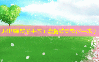  *** 切除整形手术（隆胸效果整容手术）